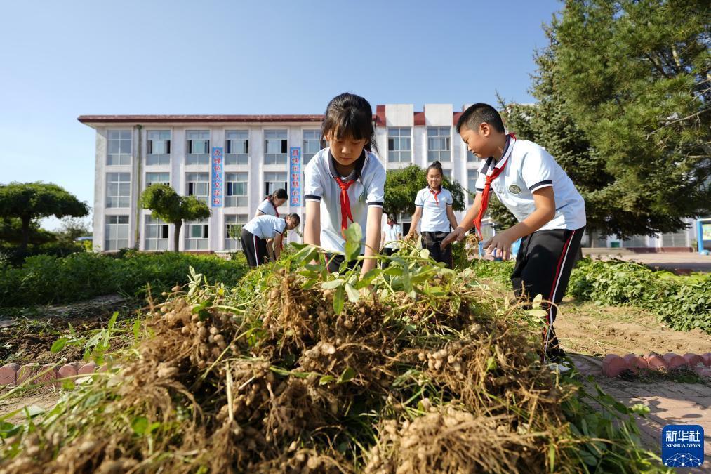 去澳门赌博都有哪些玩法